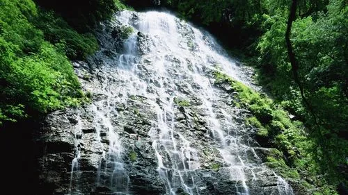 高端智能化